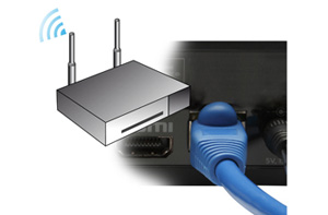 Roku plug detail