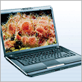 Toshiba Laptops