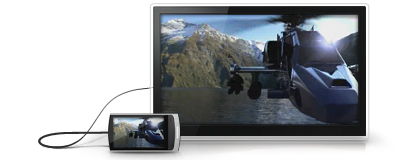 Samsung R1