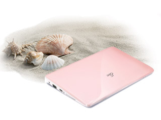 Seashell Design