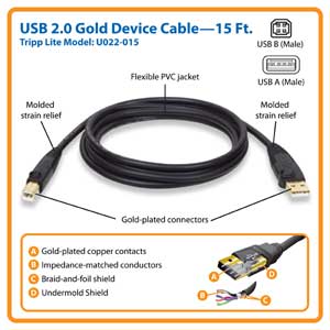 U022-015-features