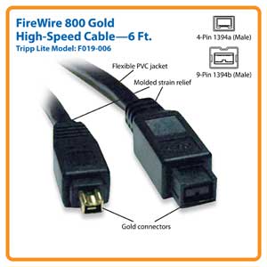 F019-006-features