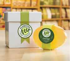 Avery Branding Labels