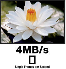 4MB/s Single Frames per Second