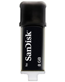 USB Flash Drive (8GB)