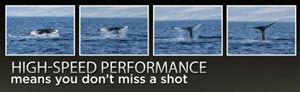 High performance and reliability
