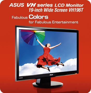 VH196T - Versatile Widescreen LCD monitor for Instant Multimedia Enjoyment