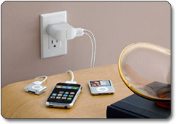 Belkin Dual Charger with USB and Swivel-Plug AC Charger for iPod