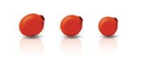 Philips ActionFit In-Ear Headphones