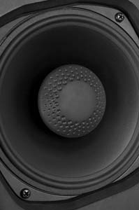 The Definitive Technology BP-8080ST SuperTower Driver