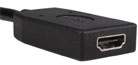 StarTech DP2HDMI