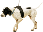 garmin dog gps