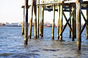 http://g-ecx.images-amazon.com/images/G/01/electronics/lenses/rokinon/85M/seaport._.jpg