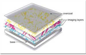This is a chart to show you how Zink paper is made