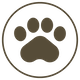 Use Dropcam Echo wi-fi internet security camera to watch your dog, cat, or pet