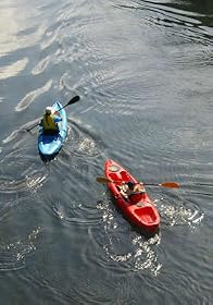 Kayaking Tour or Kayaking Lesson