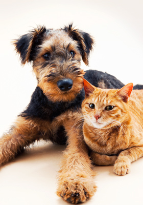 Another great deal from AmazonLocal