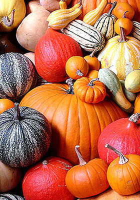 Another great deal from AmazonLocal