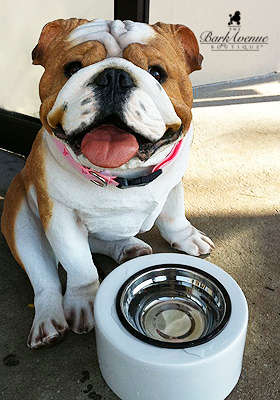 Another great deal from AmazonLocal