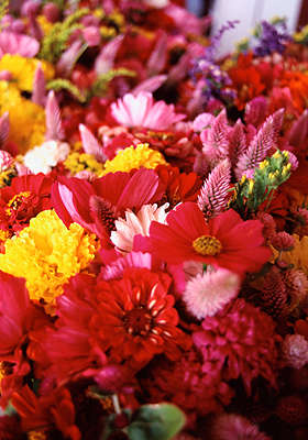 Another great deal from AmazonLocal