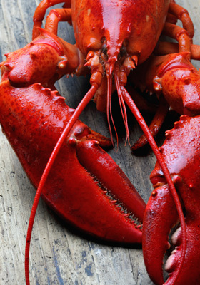 Another great deal from AmazonLocal