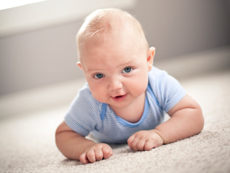 Steam Carpet Cleaning, Scotchgard, and More - Atlanta - Northeast ...