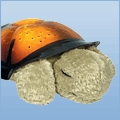 Nursery D�cor