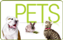 Send Dad an Amazon Pets Gift Card