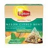 Melon Citrus Mint LIPTON® Herbal Pyramid Tea