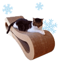 Cat Gifts