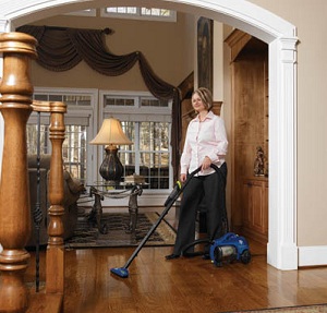 Dirt Devil Breeze Canister Vacuum Cleaner