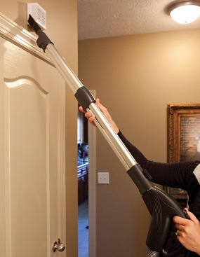 Oreck Quest Pro Canister Vacuum