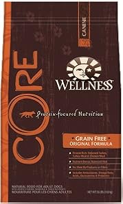 Wellness CORE Dog Food