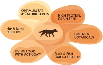 Wellness CORE Dog Food