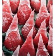 Surface of the Human Tongue