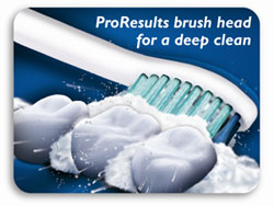 New ProResults brush head