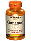 Sundown Naturals Cinnamon 500 mg (100 Capsules)