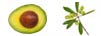 Avocado and Olive Oil