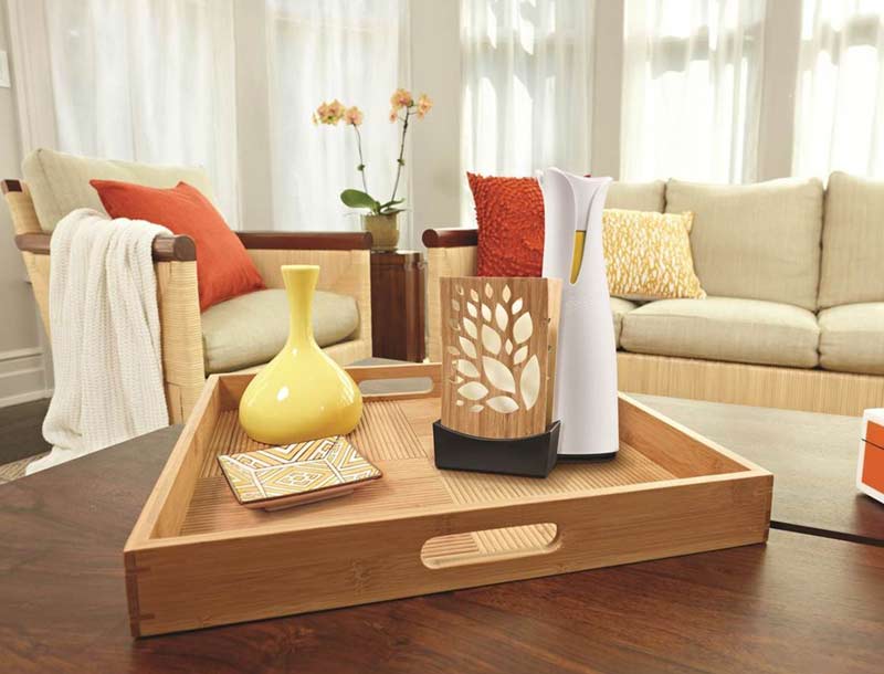 Glade Expressions Oil Diffuser Starter, Pineapple and