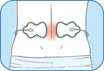 Lower Back