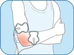 Elbow