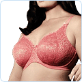 Plus Size Intimate Apparel & Shapewear