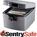 Sentry Safe