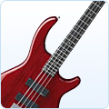 Bass Guitars at Amazon.com