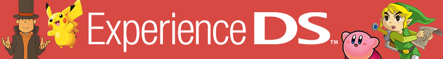 Experience DSi