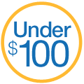 Gifts under $100