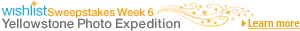 10th Anniversary Wish List - Week 6