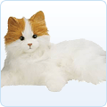plush