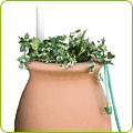 Home & Garden