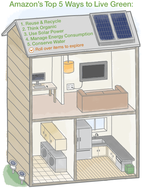 Amazon's Top 5 Ways to Live Green